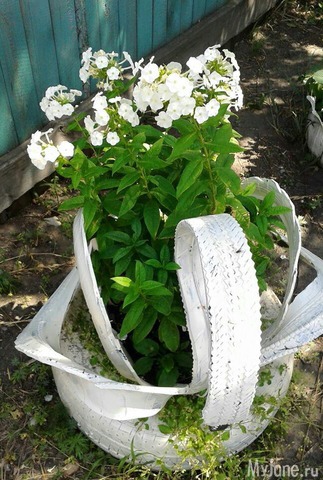 �����-��� ���� ������