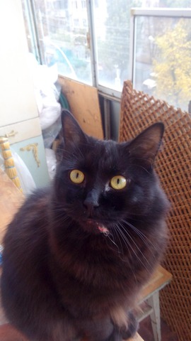 ���������� 2