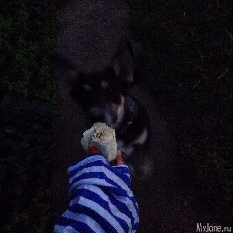 �����, ������� � ������� �����