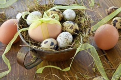Чудо-изобретение – яйца для аллергиков