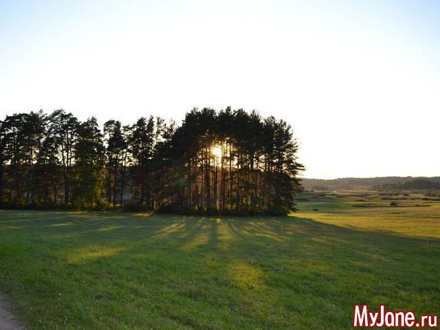 ������� ������