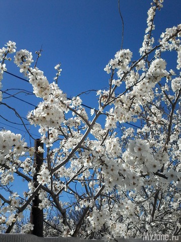 �� ���� ��,� �������!