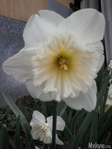 �� ���� ��,� �������!