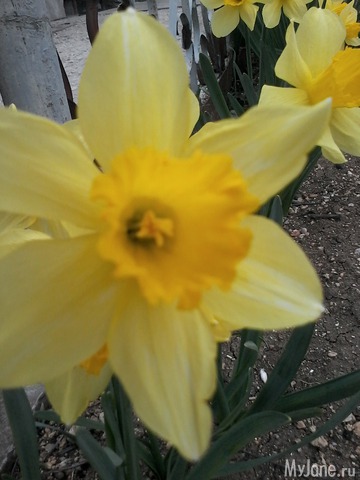 �� ���� ��,� �������!