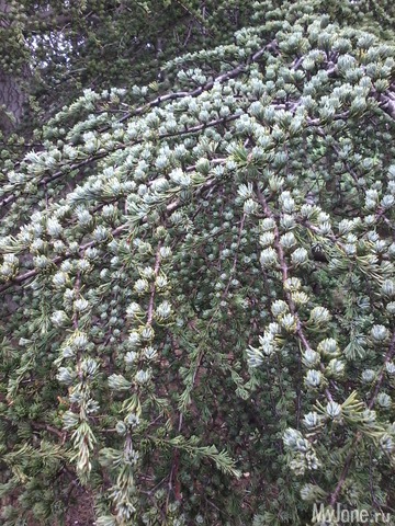 �� ���� ��,� �������!