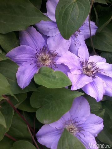 �� ���� ��,� �������!