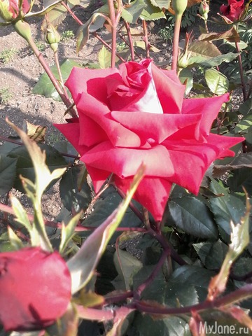 �� ���� ��,� �������!