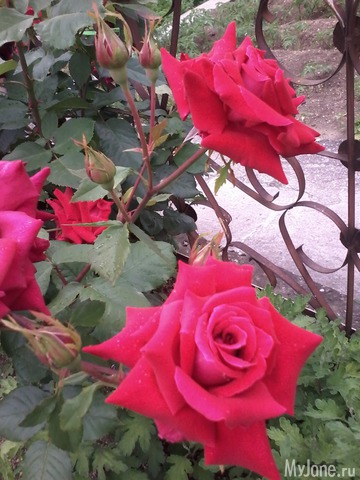 �� ���� ��,� �������!