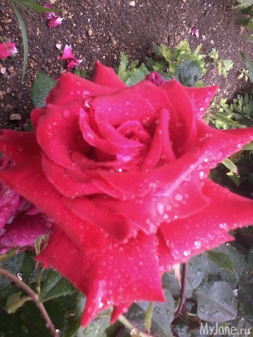 �� ���� ��,� �������!