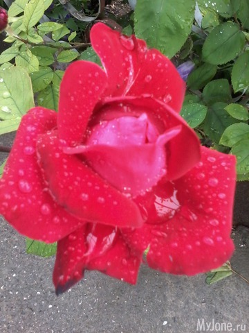 �� ���� ��,� �������!