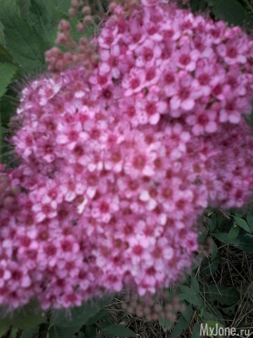 �� ���� ��,� �������!