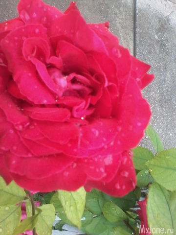 �� ���� ��,� �������!