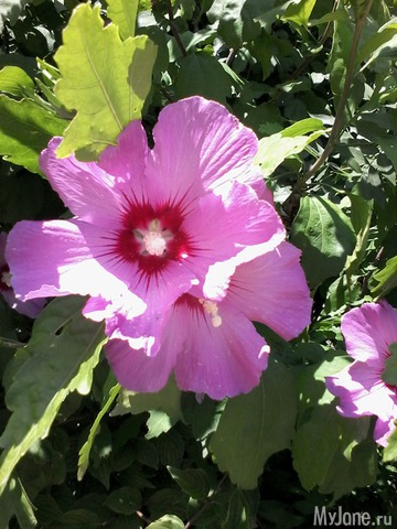 �� ���� ��,� �������!