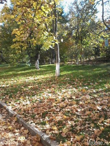 �� ���� ��,� �������!