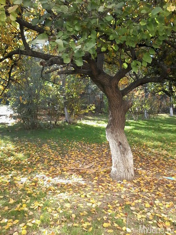 �� ���� ��,� �������!