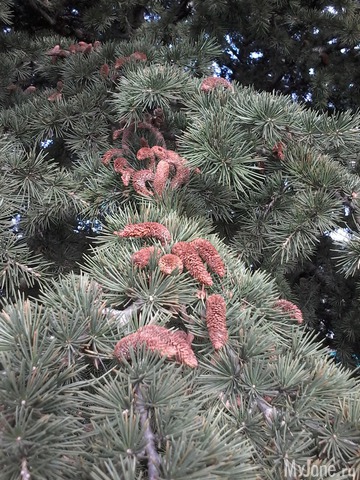 �� ���� ��,� �������!