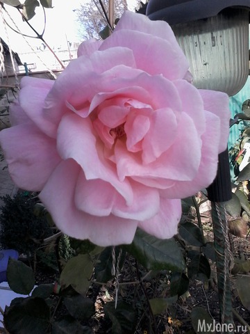 �� ���� ��,� �������!