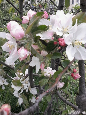 �� ���� ��,� �������!