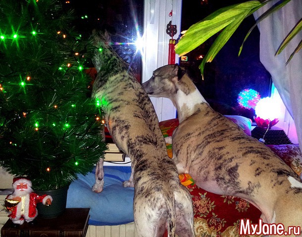 � ��� ��� ��������� ������.