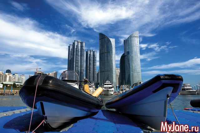 ����� �������� "����� ����"