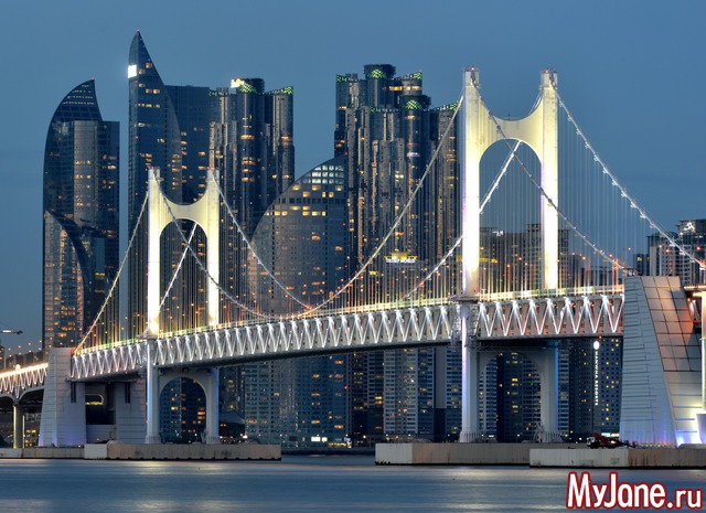 ���� ������