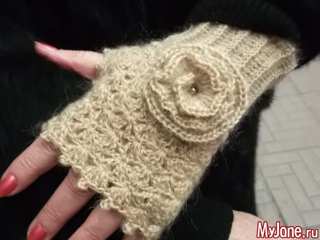 ����������...