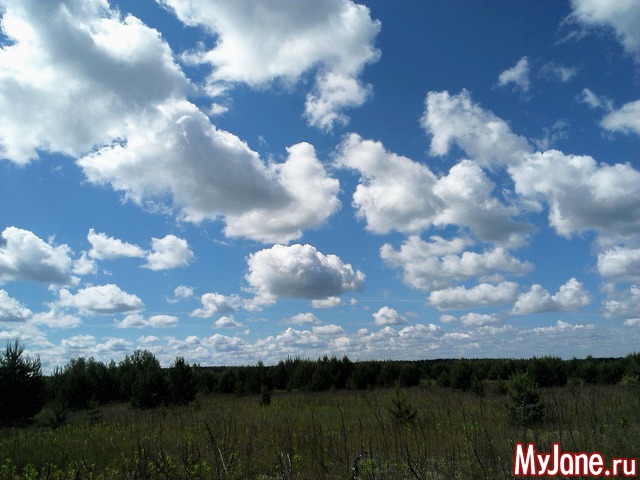 ����,����,����!