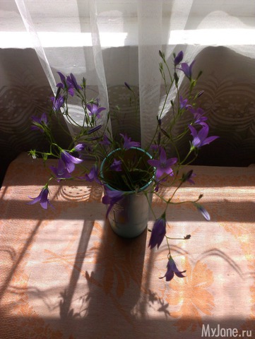 ������������ ���