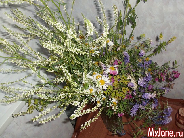 �������� ���....