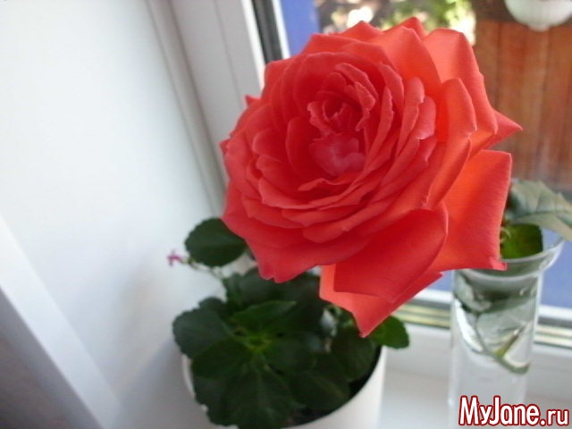 �������� ���....