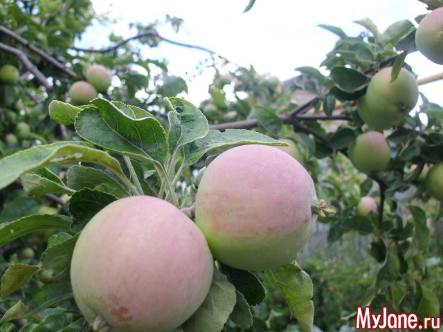 �������� ���....