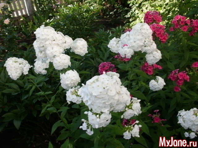 �������� ���....