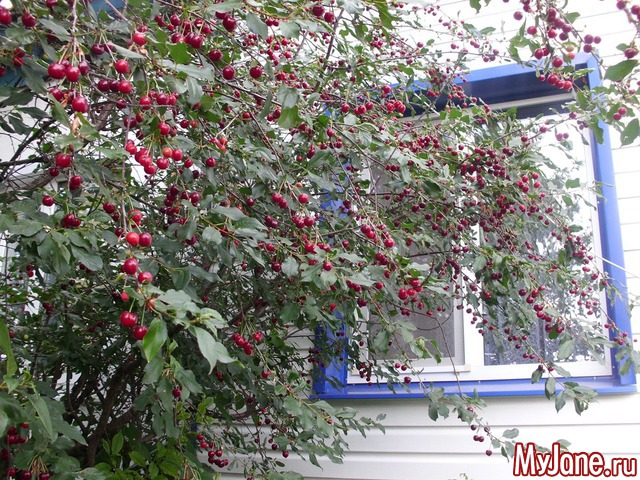 �������� ���....