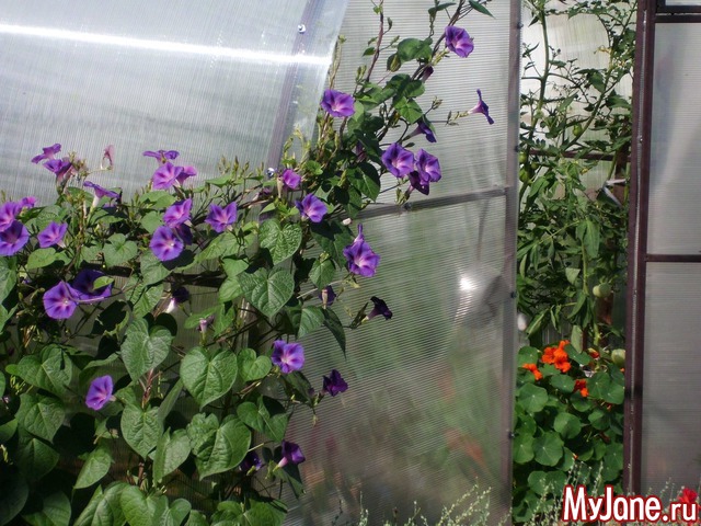 �������� ���....