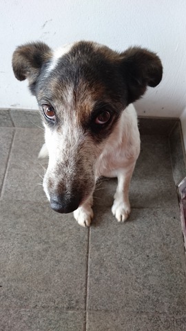 ��� �������