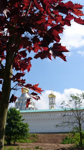 ���� �����������