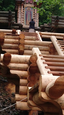 ���� �����������