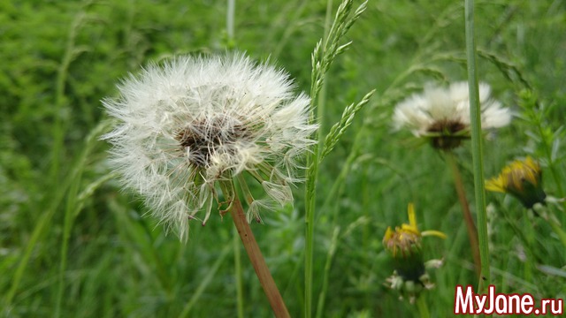 ���� �������