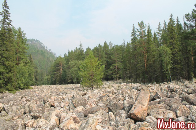 �������� ����