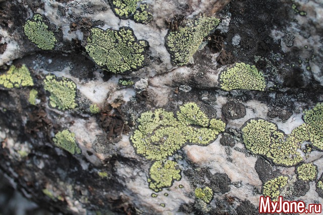 �������� ����