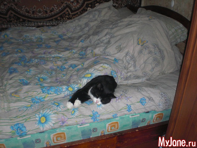 ��� ������� ���