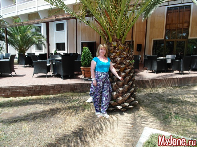 ��� ����