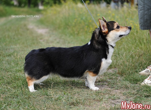 ������������ ����������� �������� ����� ����� �������