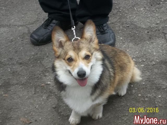 ����� ����� ������� �����  ������� ���.