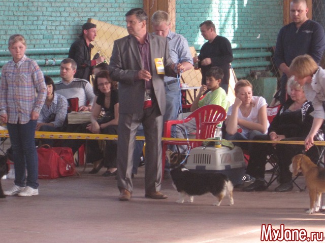 ����� ����� ������� �����  ������� ���.