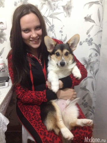 ����� ����� ������� �����  ������� ���.