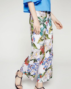 ������ ����� 2016