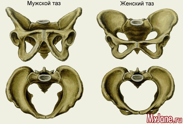 ��������� �������� � �������� �����