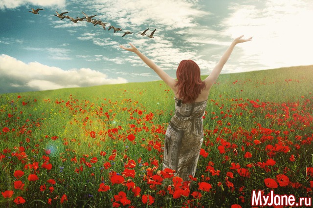 ���������� �����