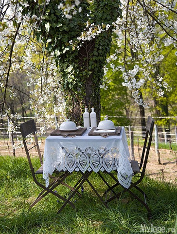 �������� ����